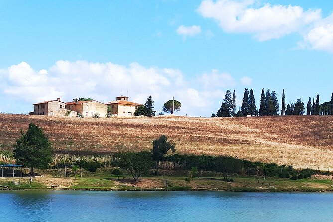 Ramble Through the Rolling Hills of Chianti With Lunch & Wine Tastings - Wine Tastings at Chianti Vineyards