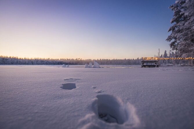 Ranua Wildlife Park Visit Plus Lunch, Ice Floating, and Sauna  - Rovaniemi - Pickup and Drop-off Arrangements