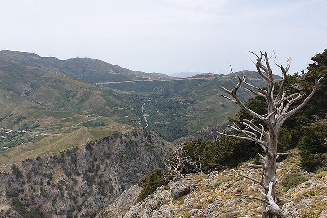 Rethymno Tour - VIP Private Tour - Local Cuisine and Beverages