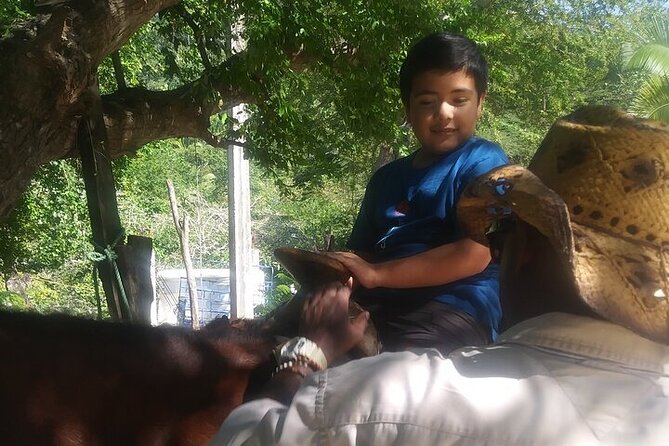 Rey Spearo - Enchanting And Romantic Custom Created Tours - Cancellation Policy and Payment