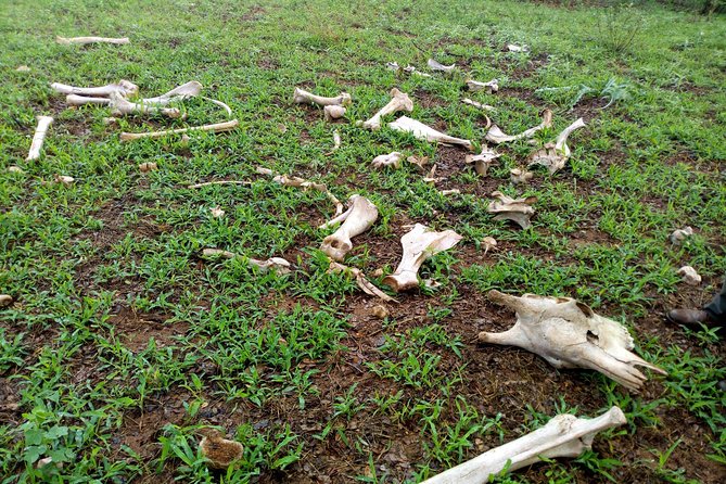 Rhino & Nature Walk in the Musiotunya National Park - Frequently Asked Questions