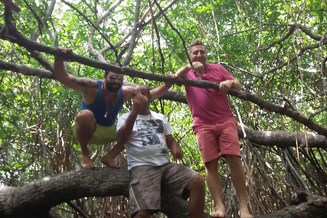 River Safari Bentota - Local Attractions Nearby