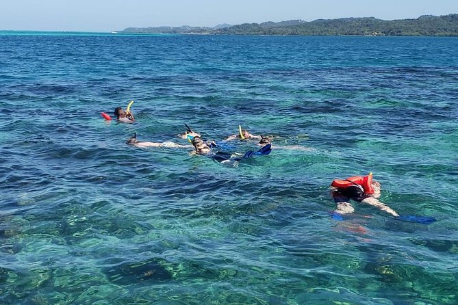 Roatan Manawakie Shore Excursion Eco-Park With Snorkel Adventure - Preparing for the Adventure