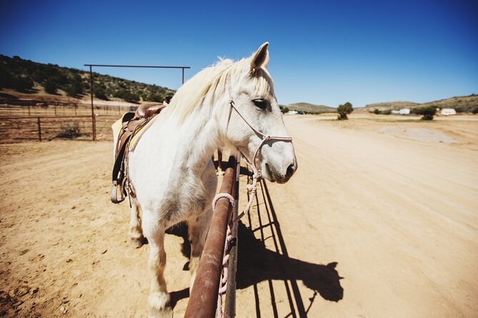 Round-Up Ride: Horseback Ride JUST 5 MILES From Grand Canyon West - Things To Known