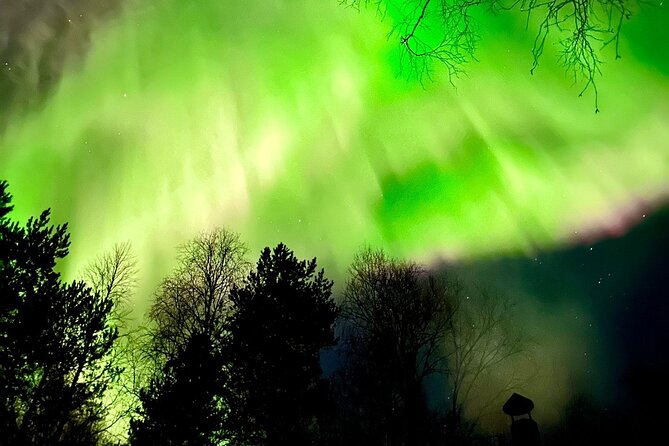 Rovaniemi: Aurora Hunting & Photography Tour - The Sum Up