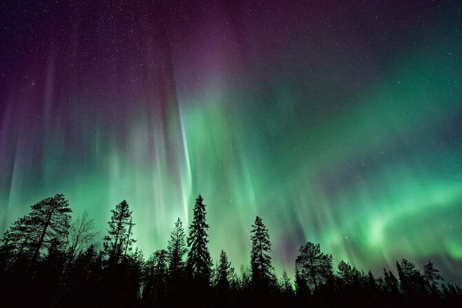 Rovaniemi: Private Aurora Tour With Guaranteed Sightings - Tips for a Successful Tour