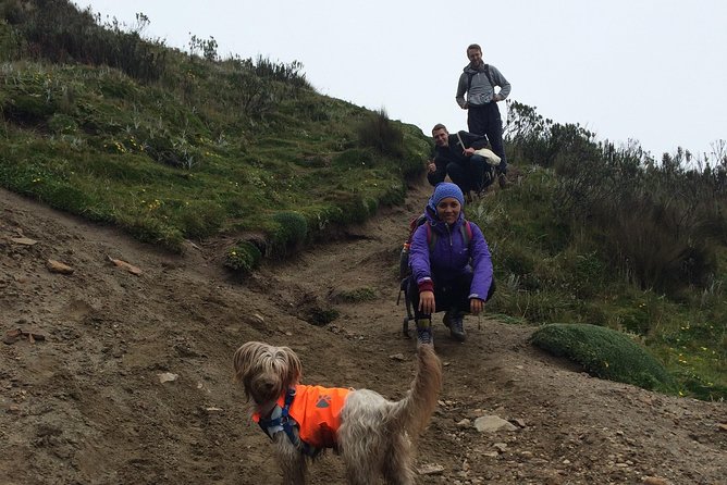 Ruco Pichincha Summit Hike - Customer Feedback and Flexibility