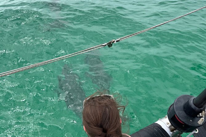 Sailing Adventures 3-Hour Activity in Destin - Things To Known