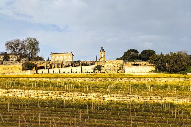 Saint-Émilion by Bike Gravel & Wine Tasting - The Sum Up