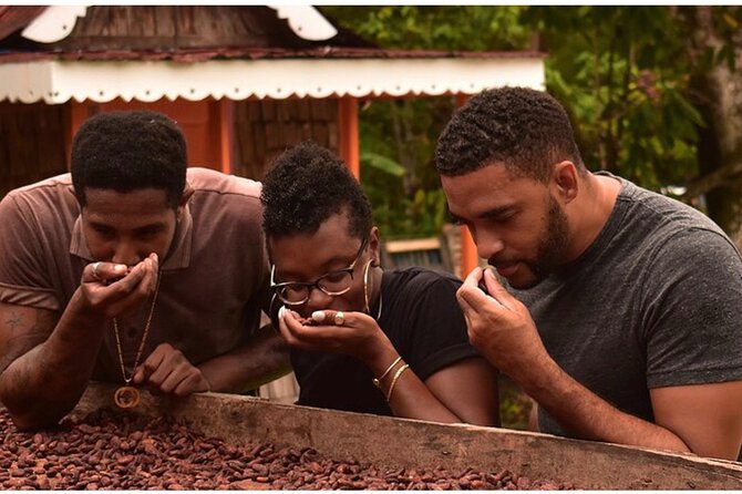 Saint Lucia: Chocolate Making, Marigot Bay, & Shopping Adventure - Pre-Arrival Communication and St. Lucia Knowledge