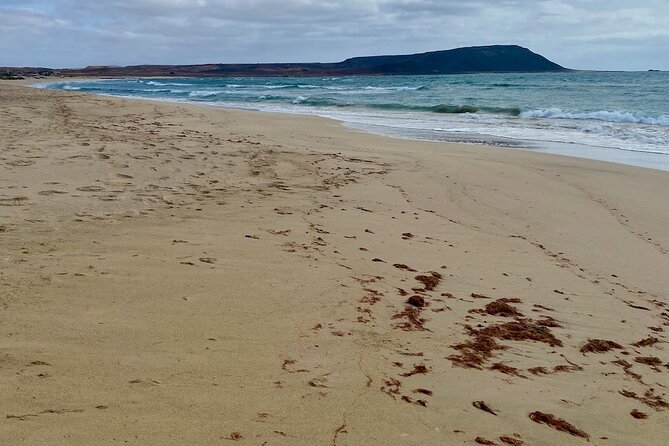 Sal Island in a Group - A Full Day Exploring the Highlights - Frequently Asked Questions