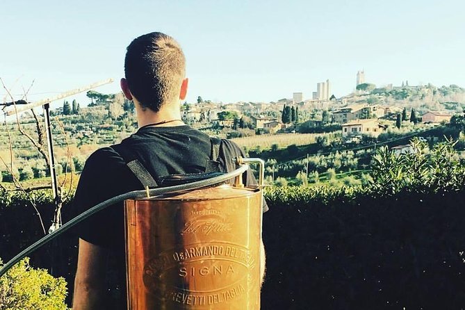 San Gimignano Afternoon Vineyard Break - Flexible Cancellation Policy