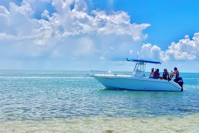 Sandbar Snorkel in the Backcountry of Key West - Tips for a Great Experience