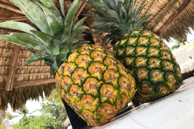 Saona Island Full-Day Tour From Santo Domingo - Frequently Asked Questions