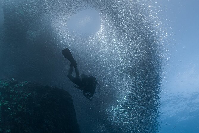 Scuba Diving - Customer Reviews and Ratings