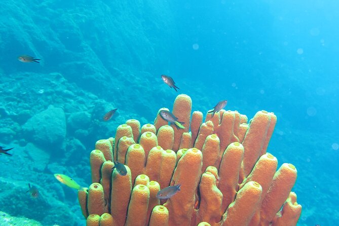 Scuba Diving Adventure in Santorini - Booking Confirmation and Support