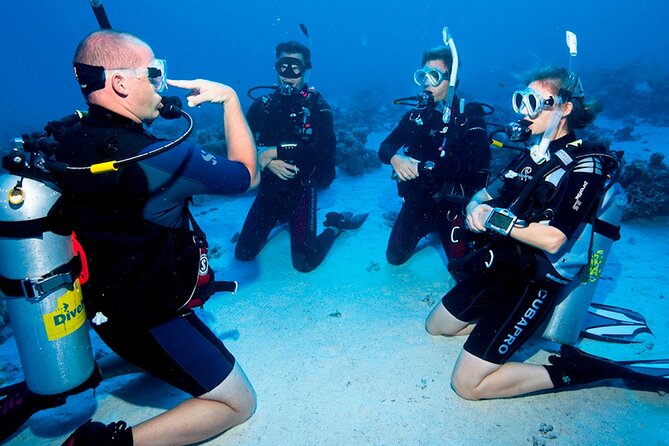 Scuba Diving in Fujairah With Private Transfers - Frequently Asked Questions