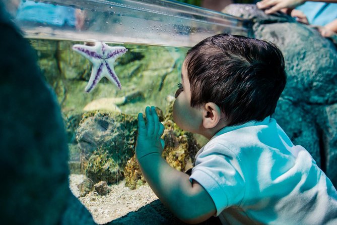 Sea Life Charlotte Concord Aquarium Admission Ticket - Visitor Feedback and Ratings