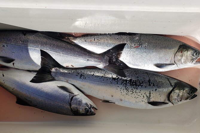 Seattle Salmon Guided Fishing Trip - Customization and Personalization Options