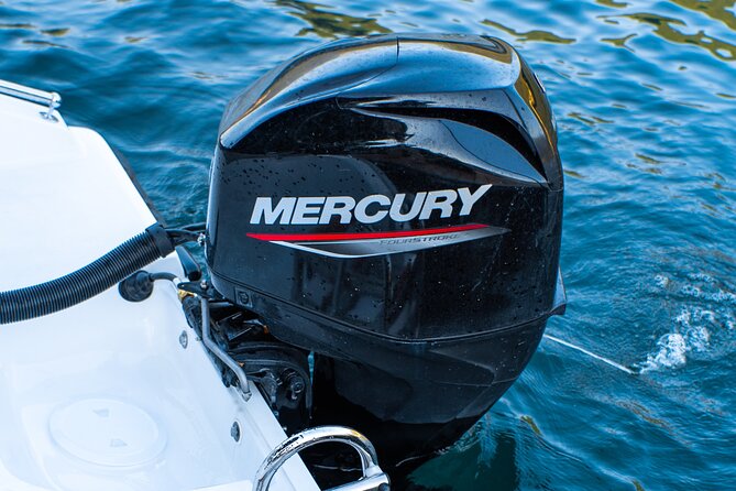Self Driving Boats on Lake Como - Customer Reviews and Feedback