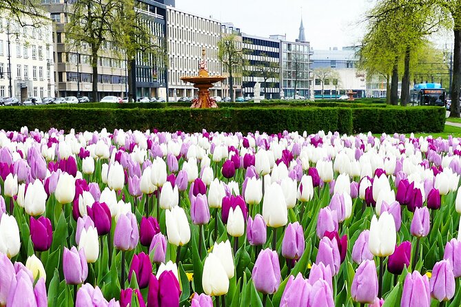 Self Guided Private 2 Hour Route in Arnhem City - Frequently Asked Questions