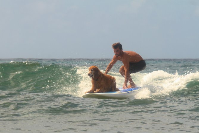 Semi-Private Surf Lesson - Accessibility Features