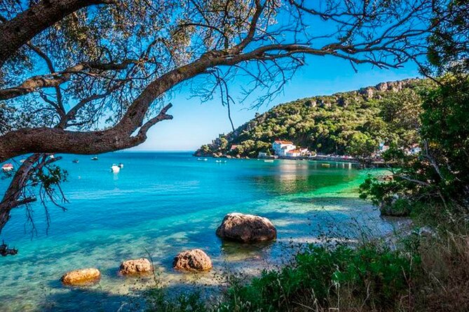 Setúbal Private Tour - Including Dolphin Watching - Tips for Booking