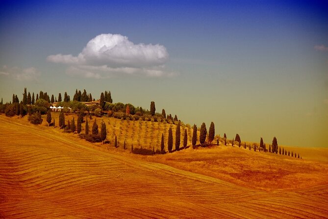 Shore Excursion From Florence to San Gimignano and Siena - Booking and Cancellation