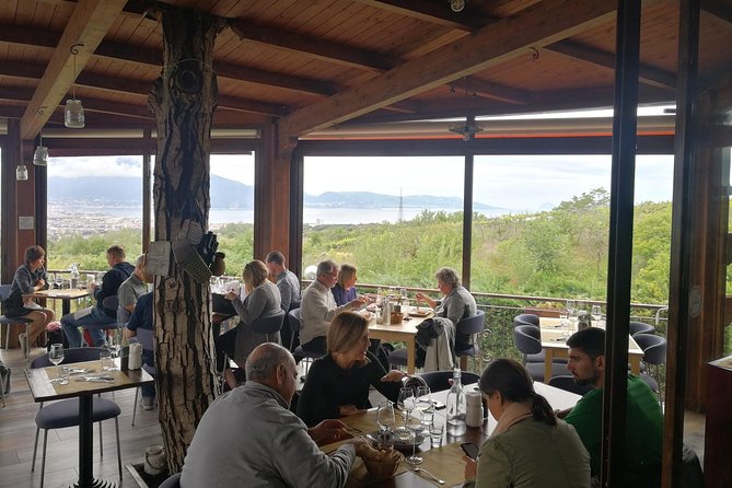 Shore Excursion With Wine & Food Tasting at Cantina Del Vesuvio Winery - Getting There and Pricing