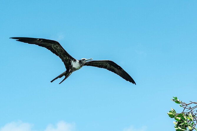 Sian Kaan Boat Tour: Full Day Experience - Considerations and Recommendations