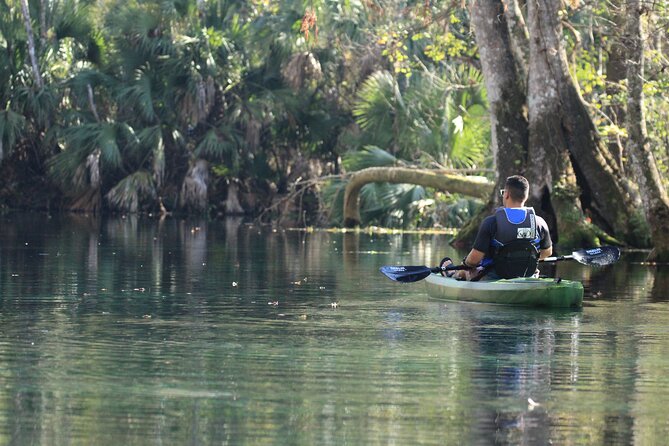 Silver Springs Manatee Kayak Tour - Wildlife Sightings