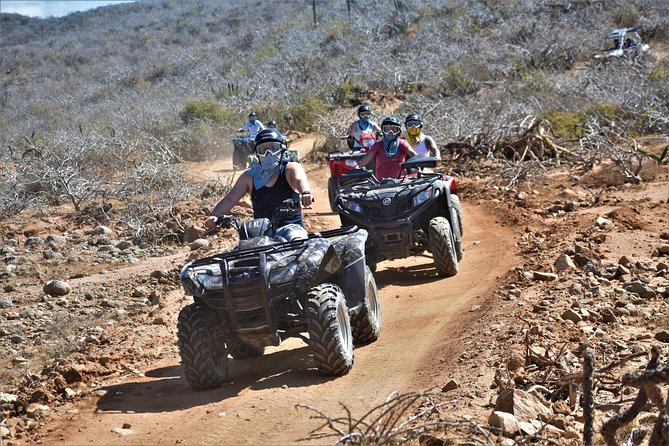 Single ATV Tour From Migriño Beach & Desert - Unforgettable Experiences