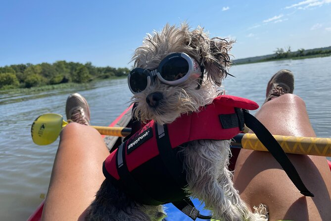 Single Guided Kayaking Tour Near Chicago - Nearby Attractions