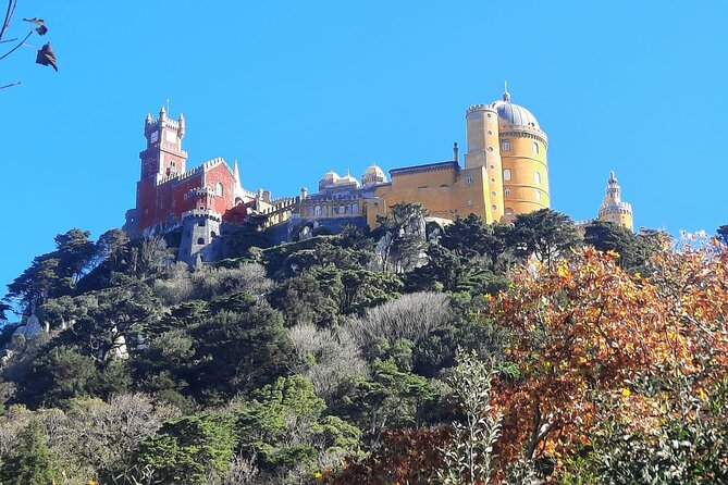 Sintra Palaces and Forest Private Tour - Guest Experiences