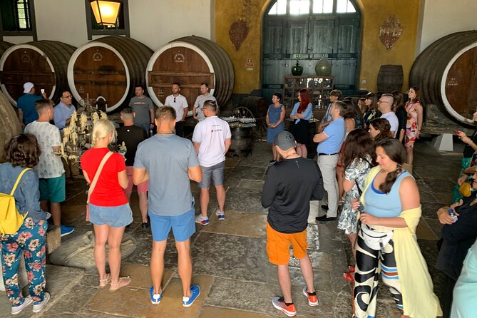 Sintra, Pena Palace and Wine Tasting Review - Since You Asked