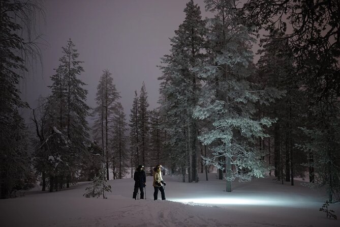 Ski Trekking Under the Northern Lights - Accessibility and Transportation