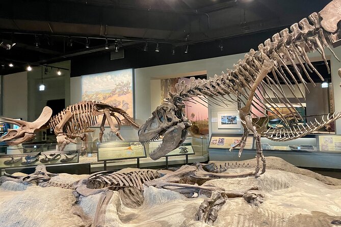 Skip-the-Line Private Field Museum of Natural History Guided Tour - Questions About Your Stay