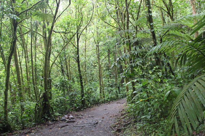 Sloth Tour and Wildlife Encounter - Booking and Cancellation Policies