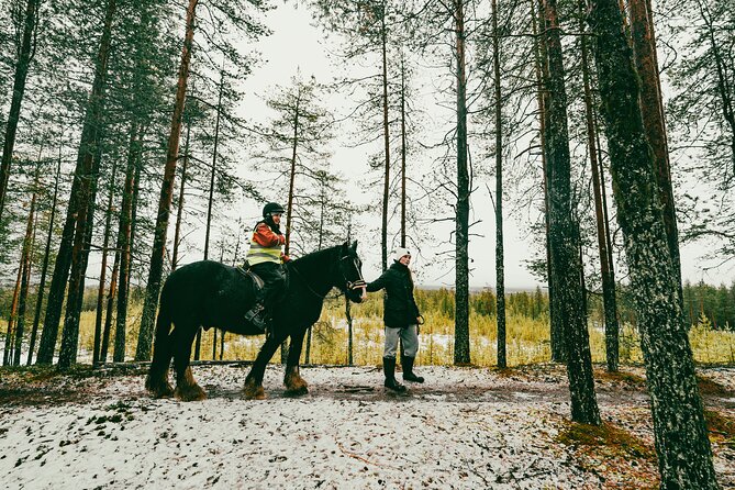Small-Group Arctic Circle Horse Riding From Rovaniemi - Visit to a Horse Farm