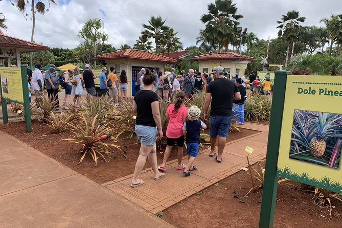 Small Group-Oahu Tour, Dole Plantation, Northshore, Sunset Beach - Booking Information