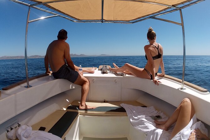 Small-Group Snorkel Adventure in San Jose Del Cabo - Meeting Point and Check-in