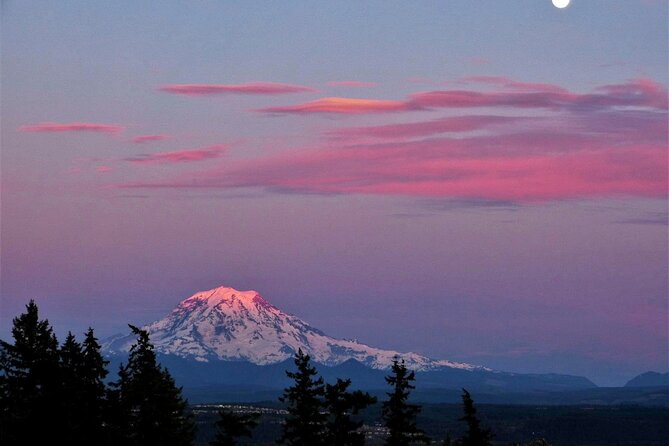 Small Group Tour in Mt Rainier With Air-Conditioned Van Transfer - Transportation Provided