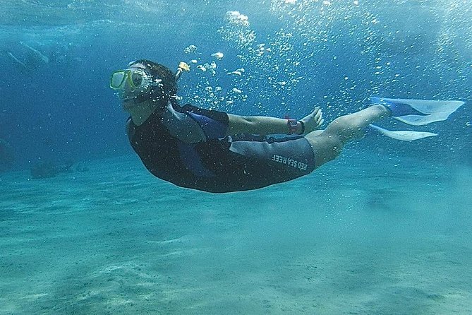 Snorkel at White Island & Ras Mohammed From Sharm El-Sheikh - Frequently Asked Questions
