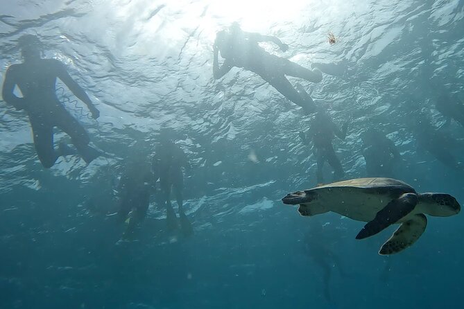 Snorkeling Experience in Santa Maria Bay by Boat - Preparing for Your Snorkeling Adventure