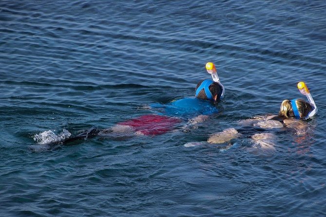 Snorkeling With Seals and Cape Peninsula Full-Day Private Tour - Frequently Asked Questions