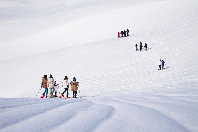 Snowshoeing Fun Tour From Cluj Napoca - Explore Cluj Napoca