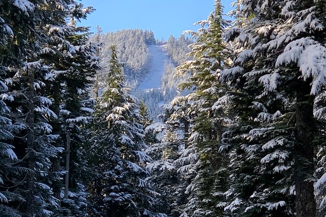 Snowshoeing In Vancouvers Winter Wonderland - Experience Winter Adventure