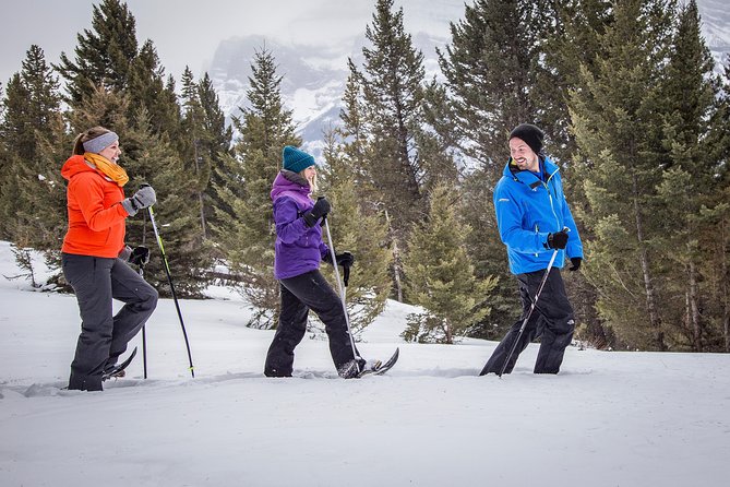 Snowshoeing Tour to the Paint Pots - Pricing and Booking Details