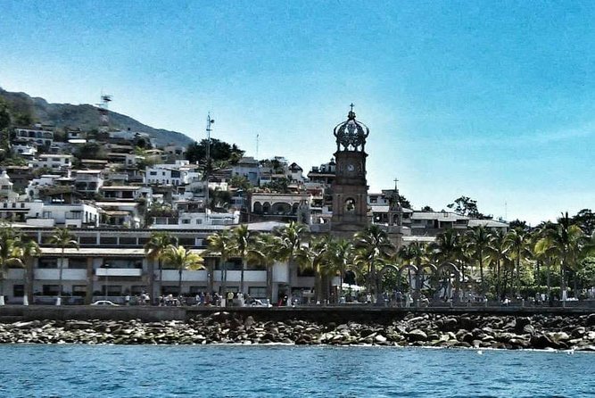 South Shore Private Sightseeing Cruise in Puerto Vallarta - Traveler Testimonials and Recommendations