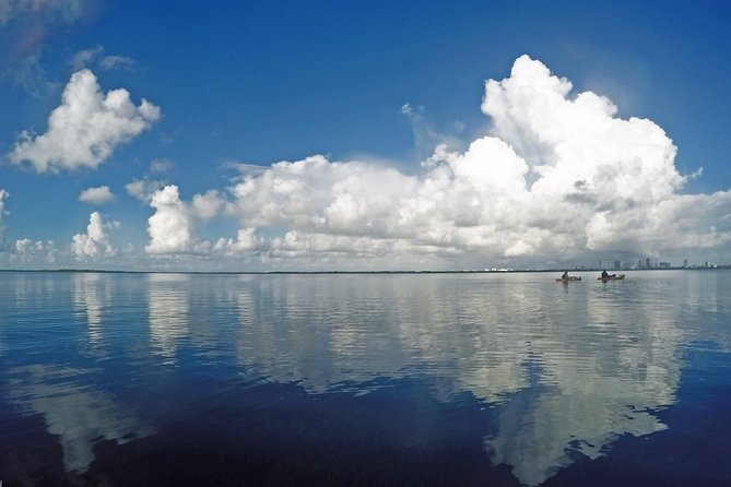 Speed Boat & Snorkel Tour With Transportation ( Only Cancun Zone Area) - Transportation and Accessibility